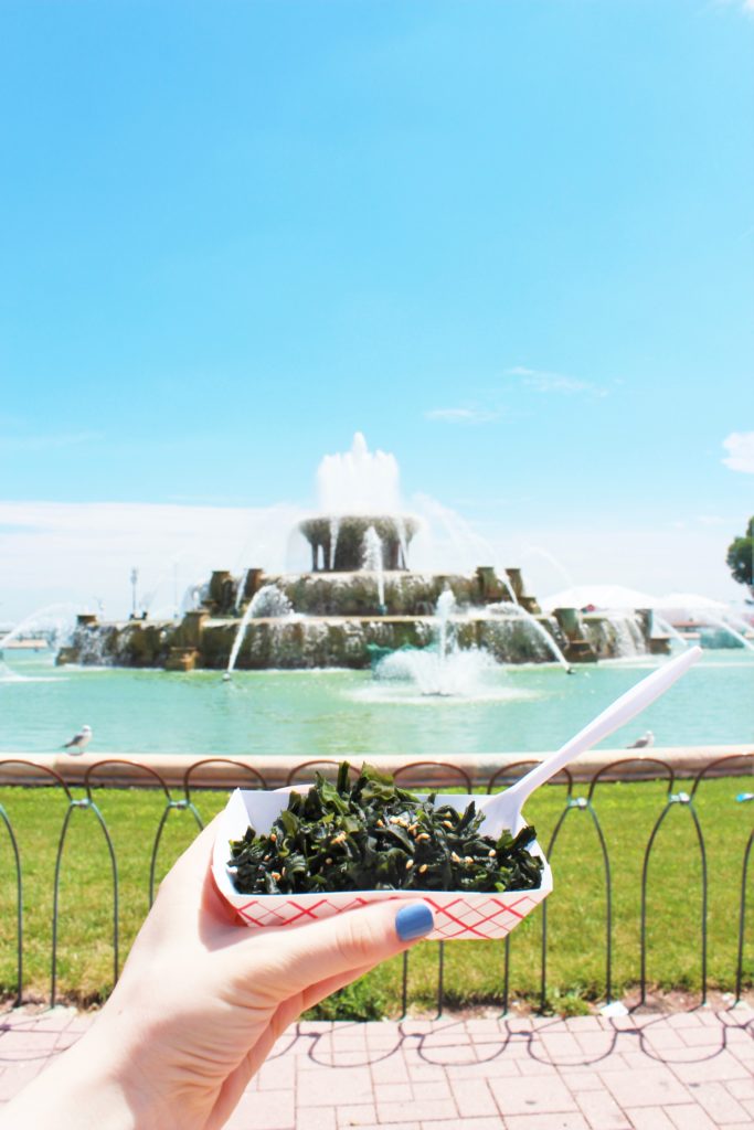Seaweed salad from Arami in front of the Buckingham Fountain on a gorgeous summer day!